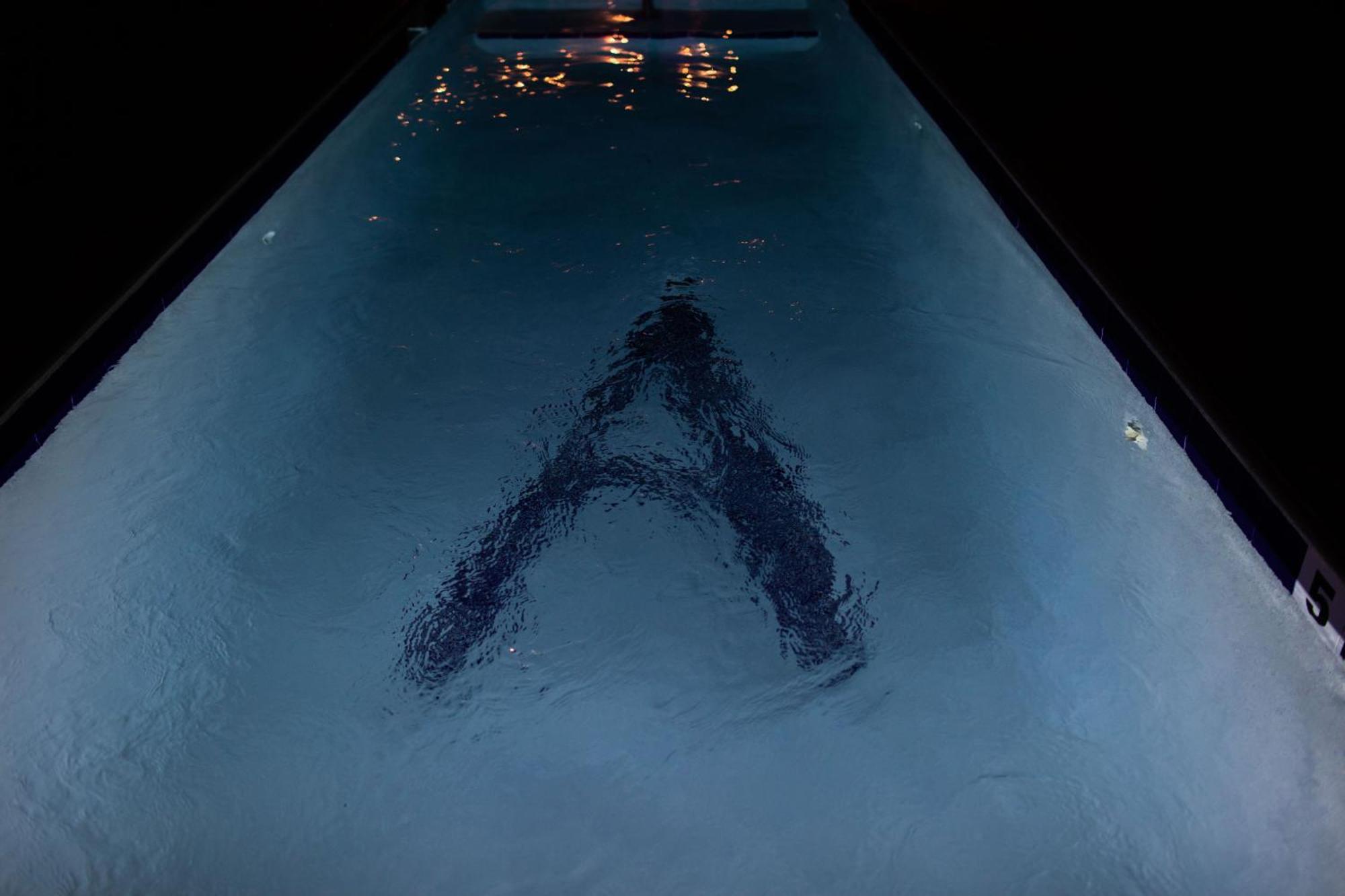 Andrews Inn & Garden Cottages 키웨스트 외부 사진